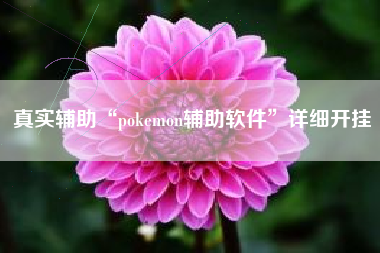 真实辅助“pokemon辅助软件	”详细开挂