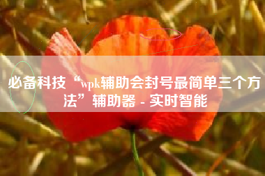 必备科技“wpk辅助会封号最简单三个方法”辅助器 - 实时智能