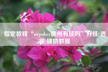 指定教程“wepoker德州有挂吗	”开挂(透视)辅助教程