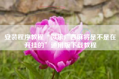 安装程序教程“微乐广西麻将是不是在开挂的	”通用版下载教程