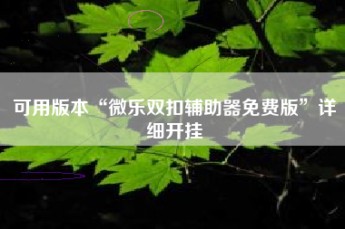 可用版本“微乐双扣辅助器免费版”详细开挂