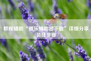 教程辅助“微乐辅助器下载”详细分享装挂步骤 教程辅助“微乐辅助器下载”详细分享装挂步骤