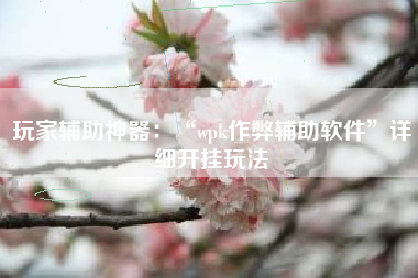 玩家辅助神器：“wpk作弊辅助软件”详细开挂玩法