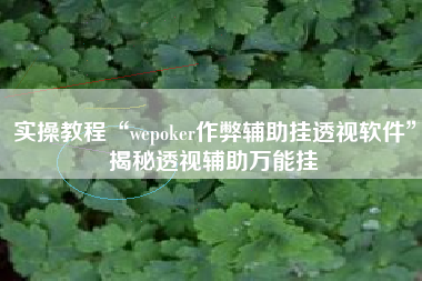 实操教程“wepoker作弊辅助挂透视软件”揭秘透视辅助万能挂