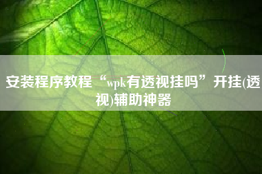 安装程序教程“wpk有透视挂吗	”开挂(透视)辅助神器