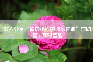 教程分享“微信小程序微乐辅助”辅助器 - 实时智能