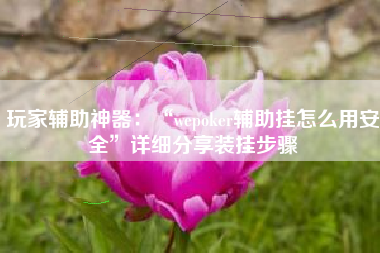 玩家辅助神器：“wepoker辅助挂怎么用安全	”详细分享装挂步骤