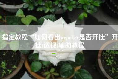 指定教程“如何看出wepoker是否开挂	”开挂(透视)辅助教程