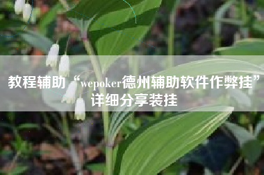 教程辅助“wepoker德州辅助软件作弊挂”详细分享装挂