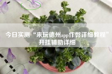 今日实测“来玩德州app作弊详细教程”开挂辅助详细