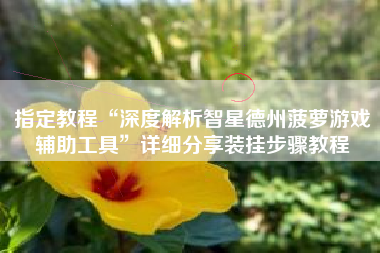 指定教程“深度解析智星德州菠萝游戏辅助工具”详细分享装挂步骤教程