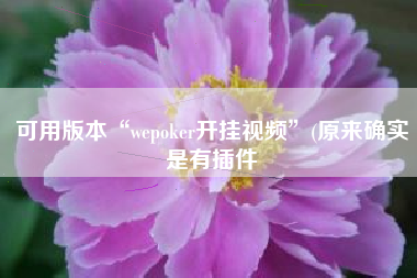 可用版本“wepoker开挂视频”(原来确实是有插件