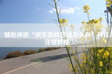 辅助神器“微乐游戏总输怎么办”开挂详细教程