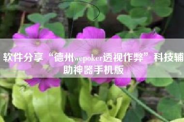软件分享“德州wepoker透视作弊”科技辅助神器手机版