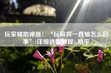 玩家辅助神器：“玩麻将一直输怎么回事”(详细透视教程)-知乎