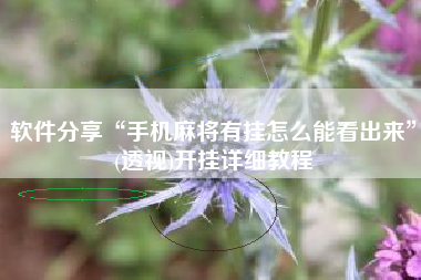 软件分享“手机麻将有挂怎么能看出来	”(透视)开挂详细教程