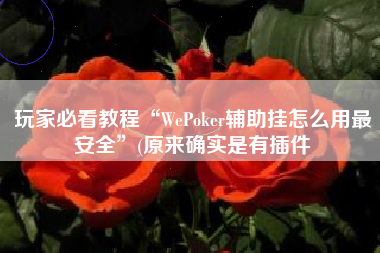 玩家必看教程“WePoker辅助挂怎么用最安全	”(原来确实是有插件