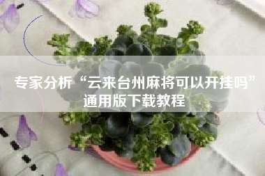 专家分析“云来台州麻将可以开挂吗”通用版下载教程