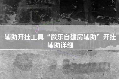 辅助开挂工具“微乐自建房辅助”开挂辅助详细