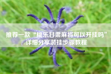 推荐一款“桃乐甘肃麻将可以开挂吗”详细分享装挂步骤教程