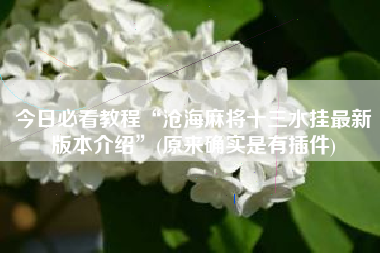 今日必看教程“沧海麻将十三水挂最新版本介绍	”(原来确实是有插件)