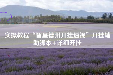 实操教程“智星德州开挂透视	”开挂辅助脚本+详细开挂