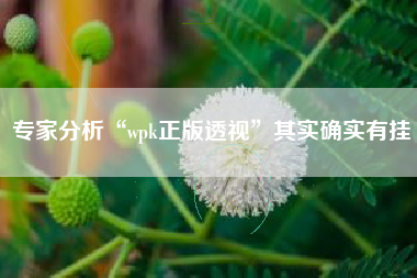 专家分析“wpk正版透视	”其实确实有挂