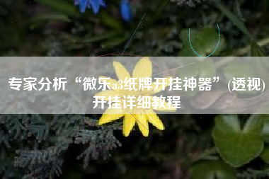 专家分析“微乐a3纸牌开挂神器”(透视)开挂详细教程