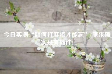 今日实测“如何打麻将才能赢	”(原来确实是有插件)