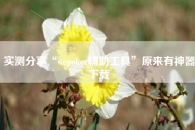 实测分享“wepoker辅助工具”原来有神器下载