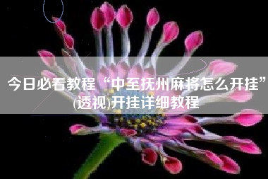 今日必看教程“中至抚州麻将怎么开挂”(透视)开挂详细教程