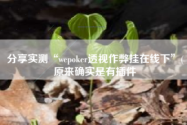分享实测“wepoker透视作弊挂在线下”(原来确实是有插件