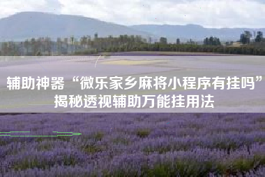 辅助神器“微乐家乡麻将小程序有挂吗”揭秘透视辅助万能挂用法