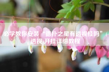 必学教你安装“德扑之星有透视挂吗”(透视)开挂详细教程