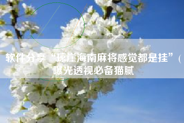 软件分享“琼崖海南麻将感觉都是挂”(曝光透视必备猫腻