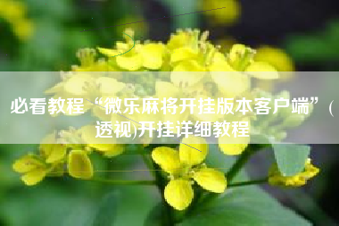 必看教程“微乐麻将开挂版本客户端”(透视)开挂详细教程