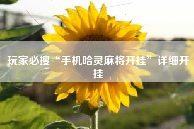 玩家必搜“手机哈灵麻将开挂”详细开挂