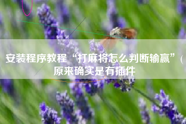 安装程序教程“打麻将怎么判断输赢	”(原来确实是有插件