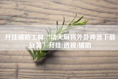 开挂辅助工具“功夫麻将外卦神器下载安装”开挂(透视)辅助