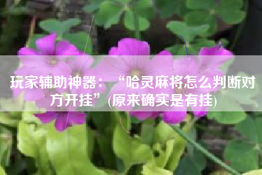 玩家辅助神器：“哈灵麻将怎么判断对方开挂”(原来确实是有挂)