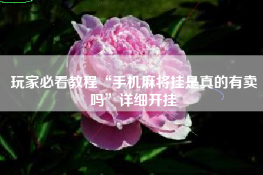 玩家必看教程“手机麻将挂是真的有卖吗”详细开挂