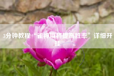 3分钟教程“雀神麻将提高胜率	”详细开挂