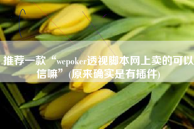 推荐一款“wepoker透视脚本网上卖的可以信嘛	”(原来确实是有插件)