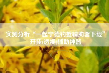 实测分析“一起宁德钓蟹辅助器下载”开挂(透视)辅助神器