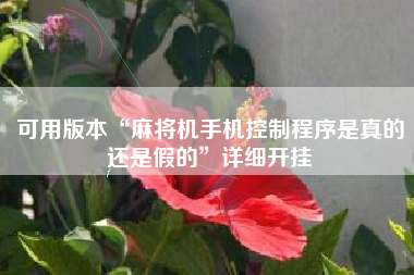 可用版本“麻将机手机控制程序是真的还是假的”详细开挂