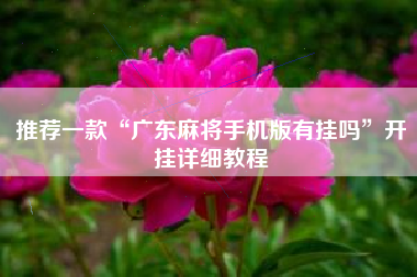 推荐一款“广东麻将手机版有挂吗”开挂详细教程