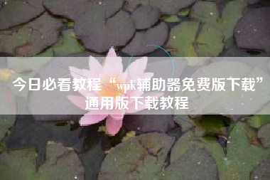 今日必看教程“wpk辅助器免费版下载	”通用版下载教程