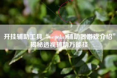 开挂辅助工具“wepoker辅助器游戏介绍	”揭秘透视辅助万能挂