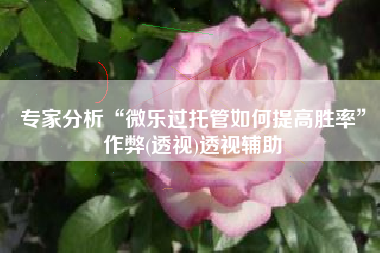 专家分析“微乐过托管如何提高胜率	”作弊(透视)透视辅助