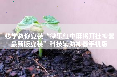 必学教你安装“微乐红中麻将开挂神器最新版安装	”科技辅助神器手机版